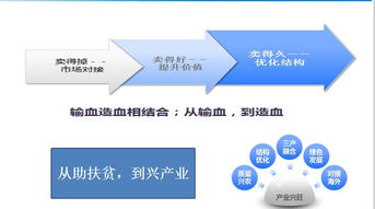 數字鄉村與農產品網銷 對隴南模式升級的網絡技術服務新思考